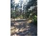 5028 CROW DR, LARKSPUR CO 80118